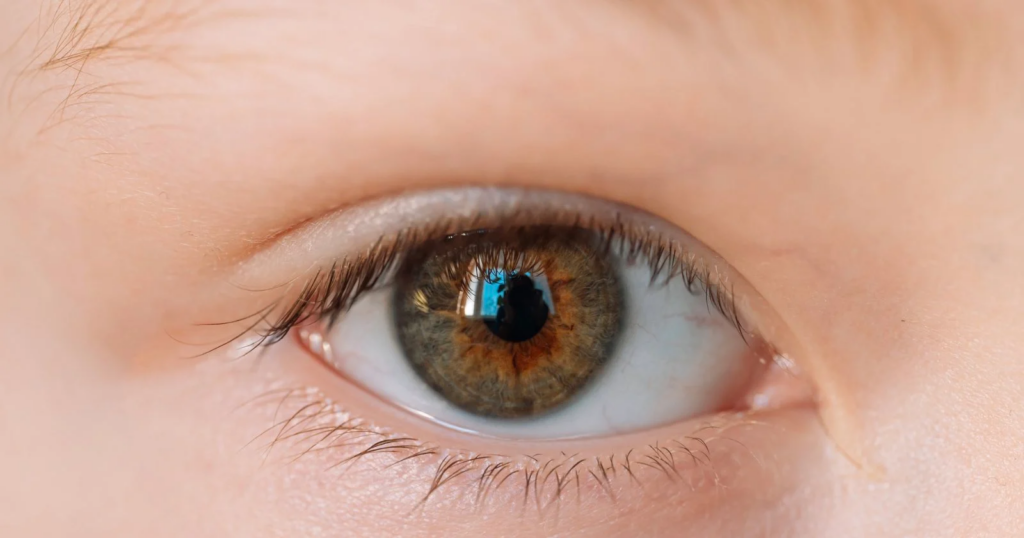 AI通过眼睛照片可以“100%准确”诊断儿童自闭症