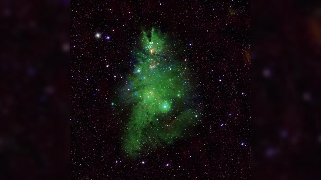 NASA天文学观测站捕捉到宇宙中的“圣诞树星团”