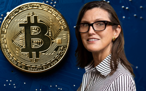木头姐：比特币有望达到100万美元，方舟投资创始人对加密货币充满信心