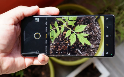 vivo X100 Pro：全新的摄影利器