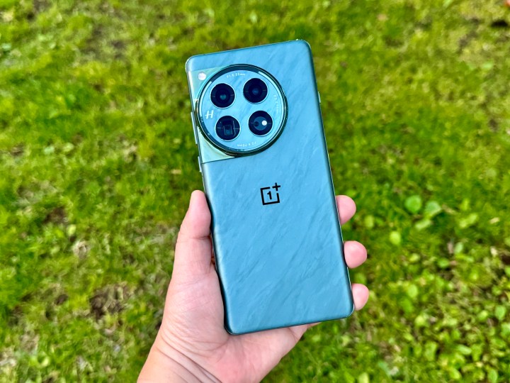 OnePlus 12 Flowy Emerald 在草地背景下手持。