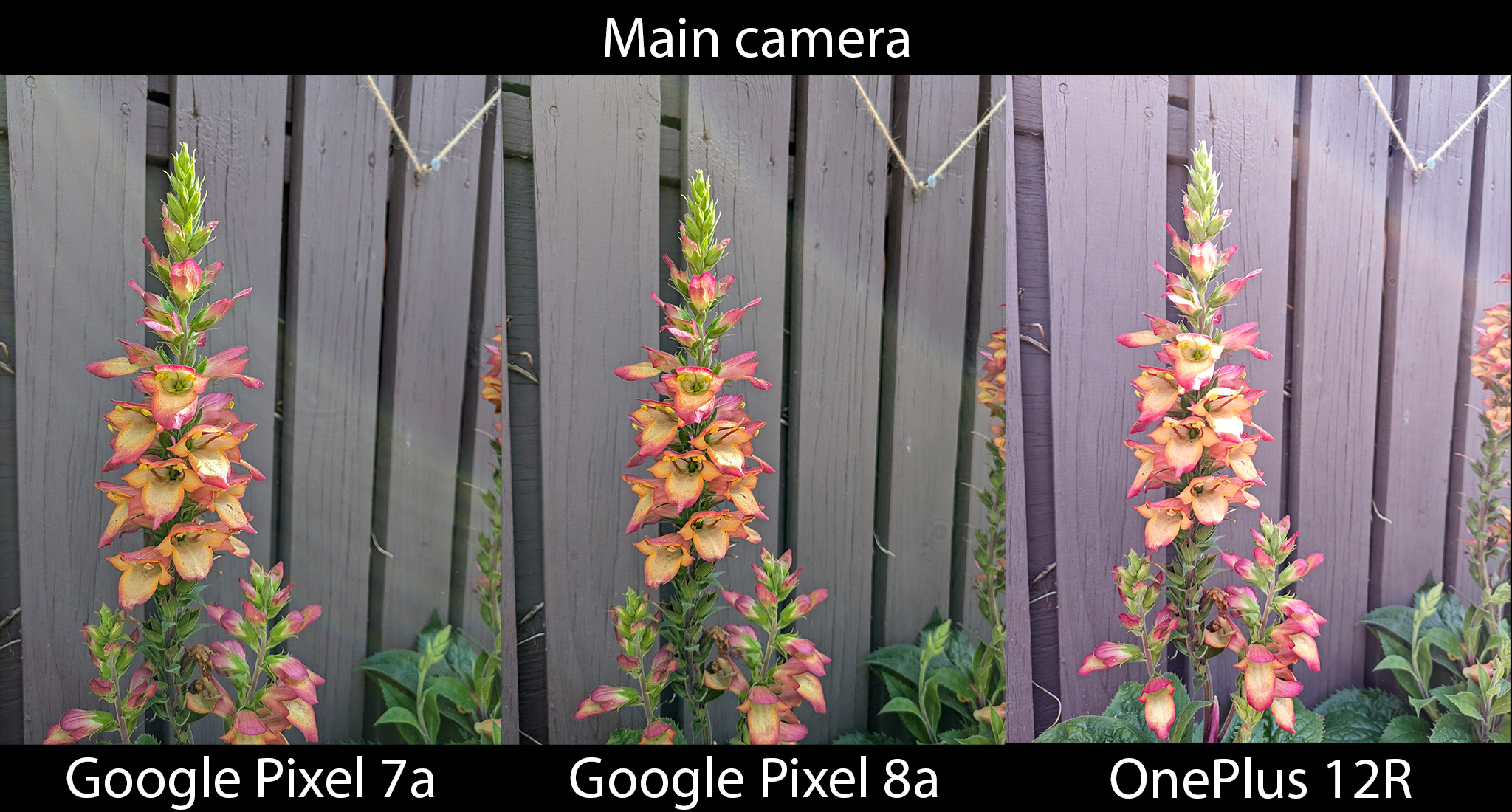 Google Pixel 8a 评测：为普通人打造的人工智能