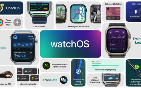 Bento 解析：Apple 希望你了解 watchOS 11 的哪些内容