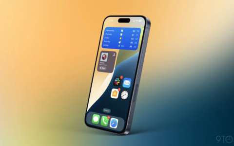 如何在 iOS 18 中隐藏 iPhone 上的应用程序名称
